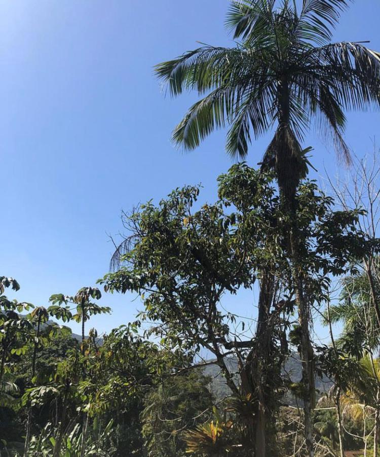Casa Amarela Prumirim Ubatuba Zewnętrze zdjęcie