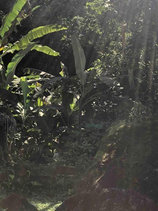 Casa Amarela Prumirim Ubatuba Zewnętrze zdjęcie